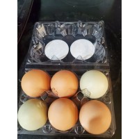 Half Dozen Chicken Eggs