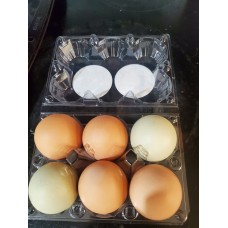 Half Dozen Chicken Eggs